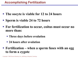 Copyright © 2004 Pearson Education, Inc., publishing as Benjamin Cummings
Accomplishing Fertilization
▪ The oocyte is viable for 12 to 24 hours
▪ Sperm is viable 24 to 72 hours
▪ For fertilization to occur, coitus must occur no
more than:
▪ Three days before ovulation
▪ 24 hours after ovulation
▪ Fertilization – when a sperm fuses with an egg
to form a zygote
 