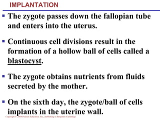 Copyright © 2004 Pearson Education, Inc., publishing as Benjamin Cummings
IMPLANTATION
▪ The zygote passes down the fallopian tube
and enters into the uterus.
▪ Continuous cell divisions result in the
formation of a hollow ball of cells called a
blastocyst.
▪ The zygote obtains nutrients from fluids
secreted by the mother.
▪ On the sixth day, the zygote/ball of cells
implants in the uterine wall.
 