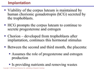 Copyright © 2004 Pearson Education, Inc., publishing as Benjamin Cummings
Implantation
▪ Viability of the corpus luteum is maintained by
human chorionic gonadotropin (hCG) secreted by
the trophoblasts.
▪ HCG prompts the corpus luteum to continue to
secrete progesterone and estrogen
▪ Chorion – developed from trophoblasts after
implantation, continues this hormonal stimulus
▪ Between the second and third month, the placenta:
▪ Assumes the role of progesterone and estrogen
production
▪ Is providing nutrients and removing wastes
 