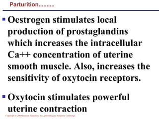 Copyright © 2004 Pearson Education, Inc., publishing as Benjamin Cummings
Parturition..........
▪ Oestrogen stimulates local
production of prostaglandins
which increases the intracellular
Ca++ concentration of uterine
smooth muscle. Also, increases the
sensitivity of oxytocin receptors.
▪ Oxytocin stimulates powerful
uterine contraction
 