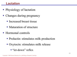 Copyright © 2004 Pearson Education, Inc., publishing as Benjamin Cummings
83
Lactation
▪ Physiology of lactation
▪ Changes during pregnancy
▪ Increased breast tissue
▪ Maturation of structure
▪ Hormonal controls
▪ Prolactin: stimulates milk production
▪ Oxytocin: stimulates milk release
▪ “let-down” reflex
 