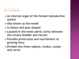 UterusAn internal organ of the female reproductive systemAlso known as the wombIs hollow and pear-shapedLocated in the lower pelvic cavity between the urinary bladder and rectumProvides protections and nourishment to growing fetusDivided into three regions; fundus, corpus and cervix 