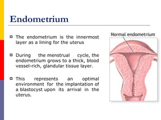 Endometrium
 The endometrium is the innermost
layer as a lining for the uterus
 During the menstrual cycle, the
endometrium grows to a thick, blood
vessel-rich, glandular tissue layer.
 This represents an optimal
environment for the implantation of
a blastocyst upon its arrival in the
uterus.
 