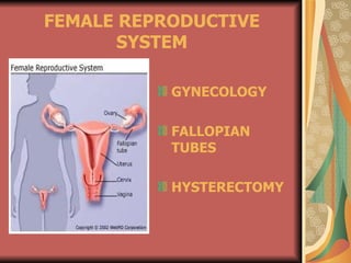 FEMALE REPRODUCTIVE
       SYSTEM

           GYNECOLOGY

           FALLOPIAN
           TUBES

           HYSTERECTOMY
 