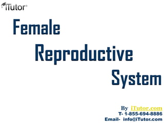 System
Female
T- 1-855-694-8886
Email- info@iTutor.com
By iTutor.com
Reproductive
 