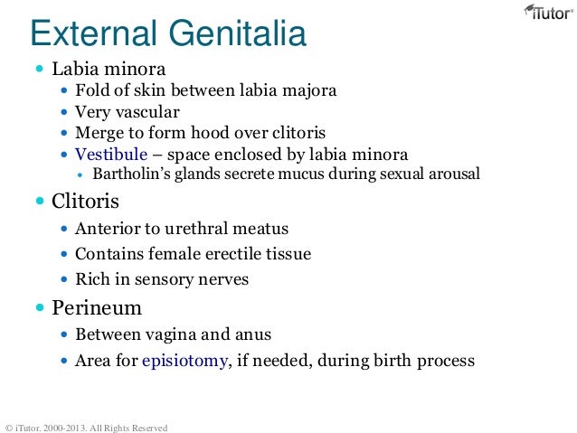 Growth between vagin and anus — photo 9