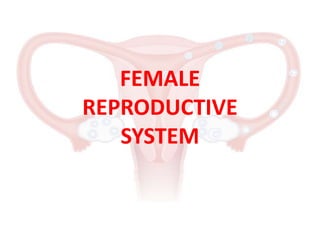 FEMALE
REPRODUCTIVE
SYSTEM
 