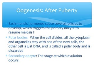 Oogenesis: After Puberty 
* Each month, hormones cause several follicles to 
develop, which triggers the primary oocyte to 
resume meiosis I 
* Polar bodies: When the cell divides, all the cytoplasm 
and organelles stay with one of the new cells, the 
other cell is just DNA, and is called a polar body and is 
discarded 
* Secondary oocyte: The stage at which ovulation 
occurs. 
28 
 