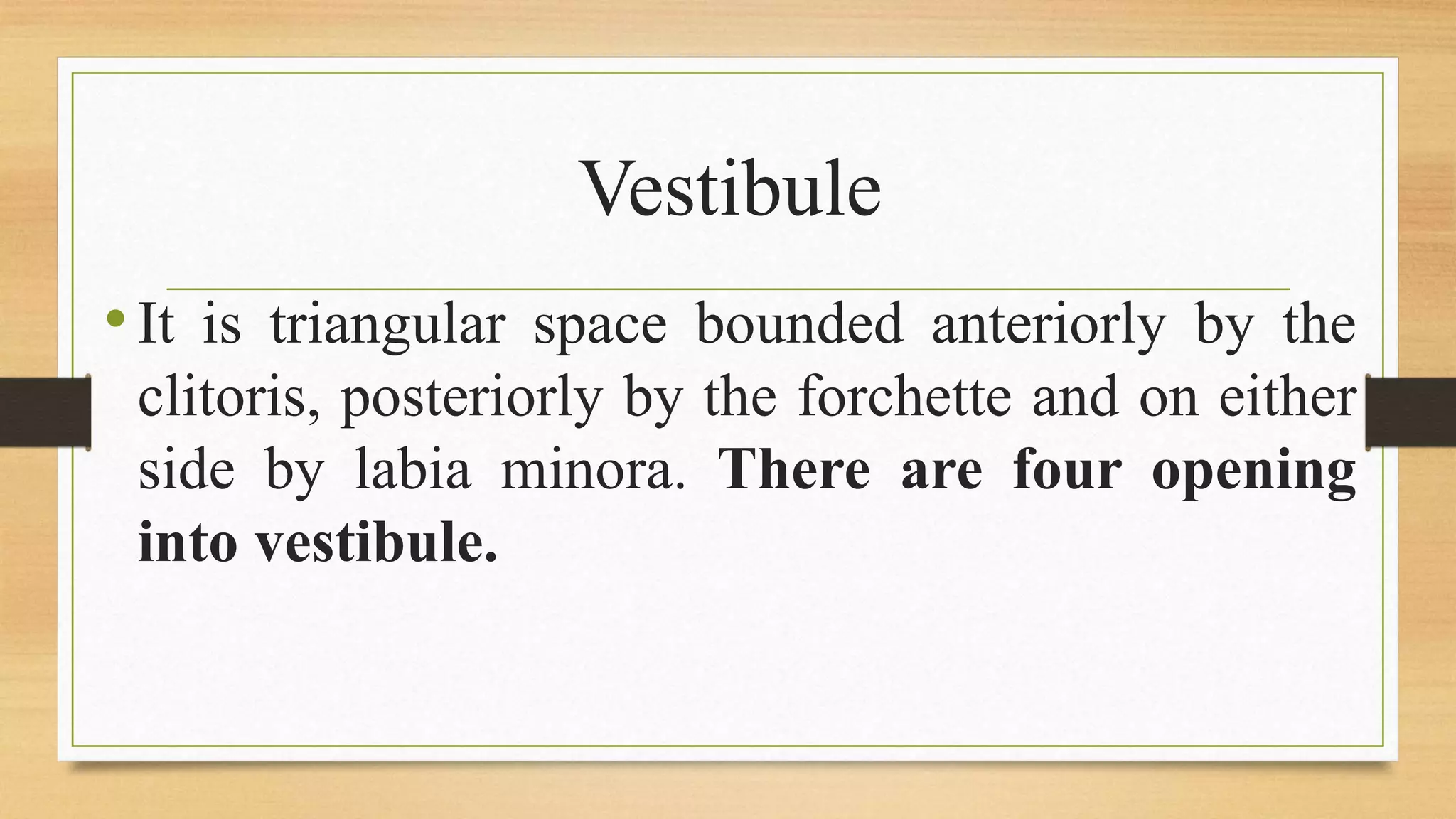 Female reproductive system | PPTX