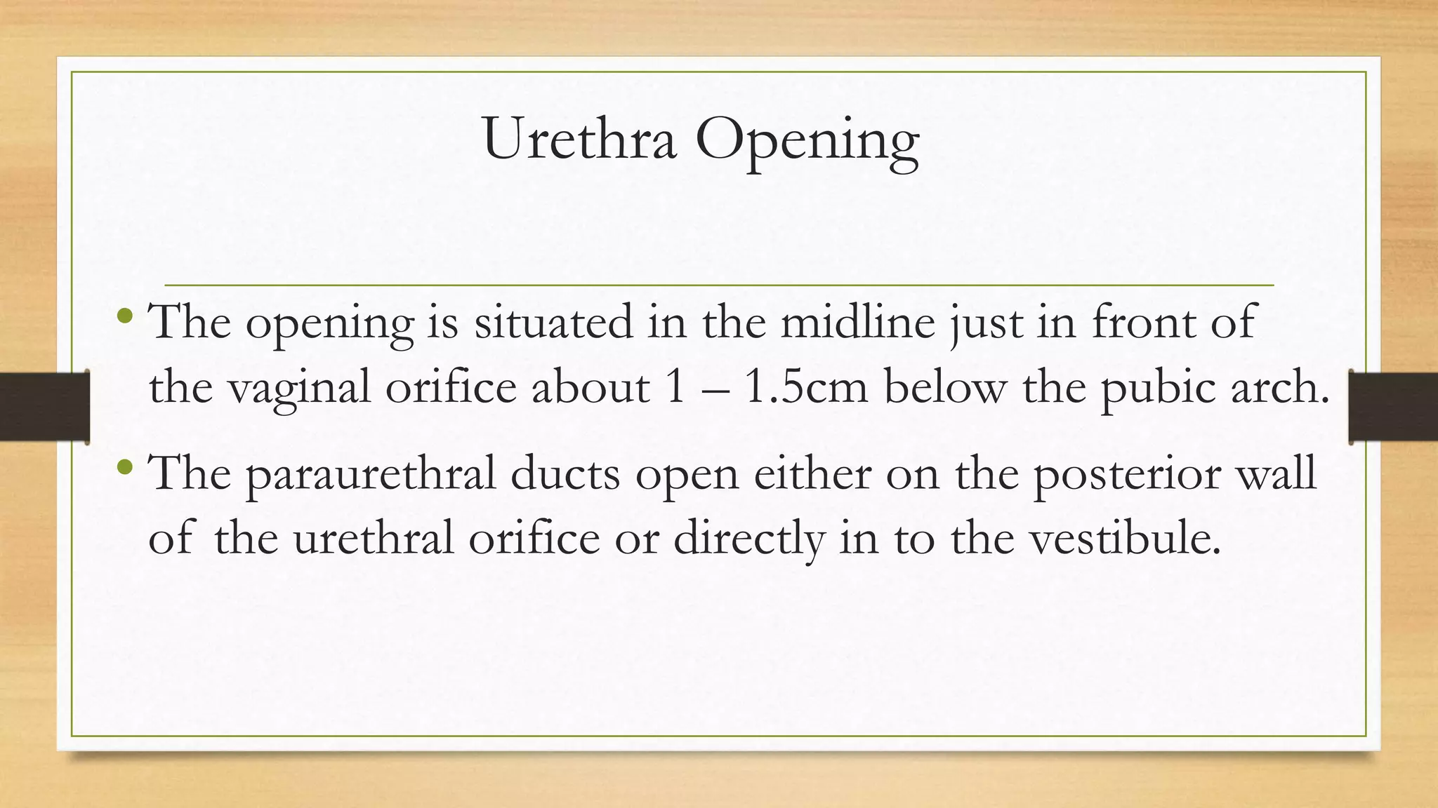 Female reproductive system | PPTX