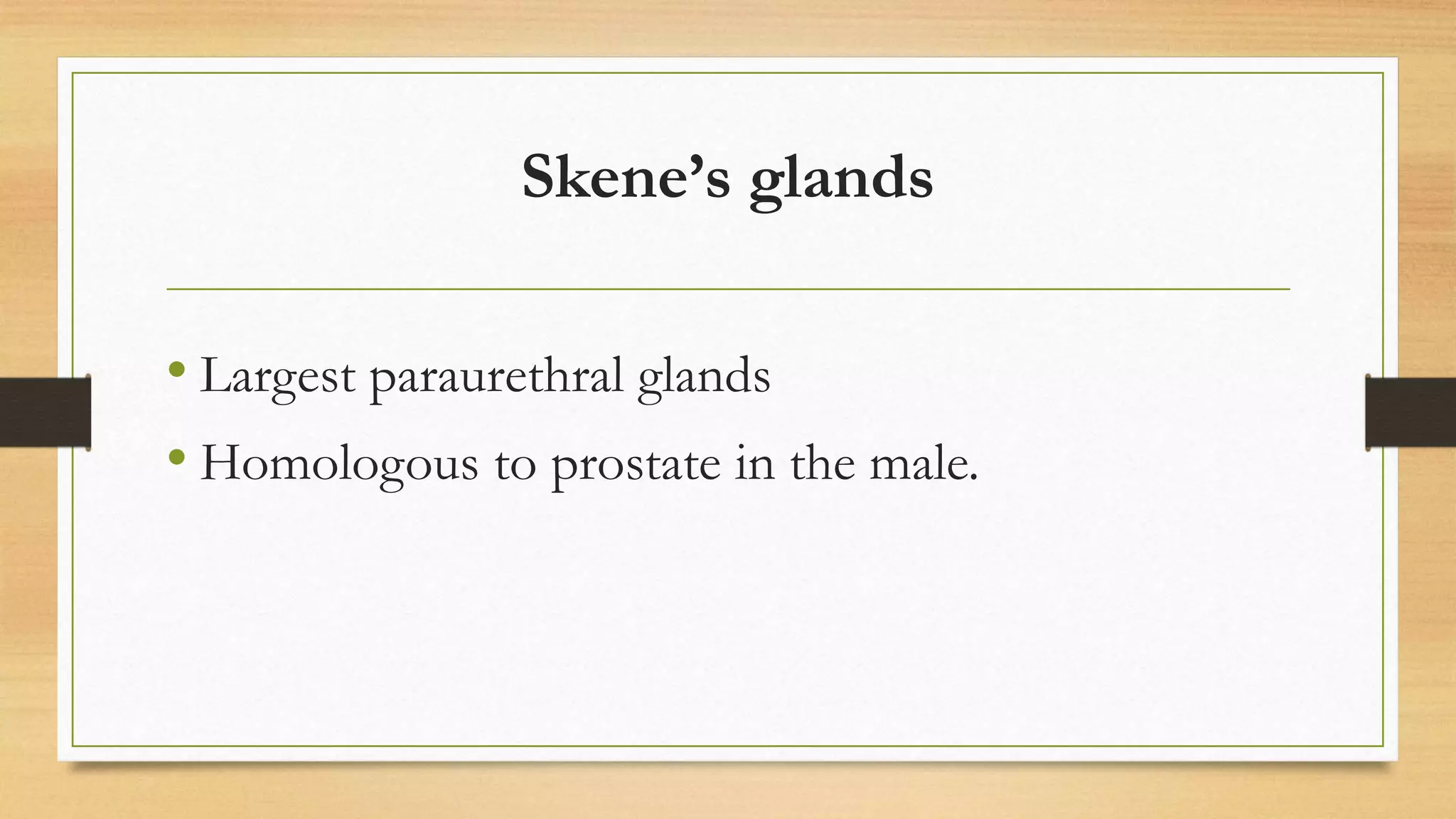 Female reproductive system | PPTX