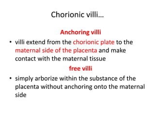 Chorionic villi…
Anchoring villi
• villi extend from the chorionic plate to the
maternal side of the placenta and make
con...