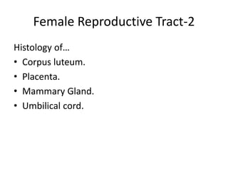 Female Reproductive Tract-2
Histology of…
• Corpus luteum.
• Placenta.
• Mammary Gland.
• Umbilical cord.
 