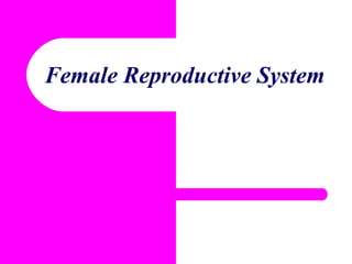 Female Reproductive System
 