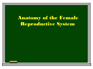 Anatomy of the Female
Reproductive System
 