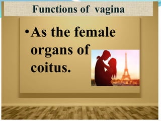 •As the female
organs of
coitus.
Functions of vagina
 