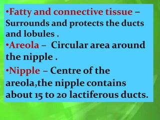 •Fatty and connective tissue –
Surrounds and protects the ducts
and lobules .
•Areola – Circular area around
the nipple .
•Nipple – Centre of the
areola,the nipple contains
about 15 to 20 lactiferous ducts.
 