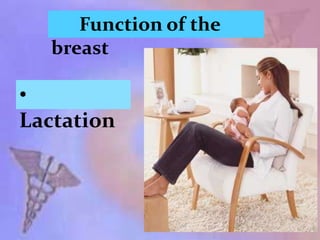 Function of the
breast
•
Lactation
 