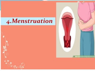 4.Menstruation
 