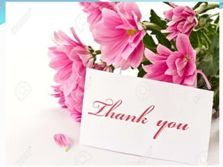 Female  reproductive system