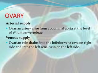 OVARY
Arterial supply
 Ovarian artery arise from abdominal aorta at the level
of 1st lumbar vertebrae
Venous supply
 Ova...