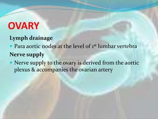 OVARY
Lymph drainage
 Para aortic nodes at the level of 1st lumbar vertebra
Nerve supply
 Nerve supply to the ovary is d...