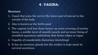 Female reproductive system | PPTX