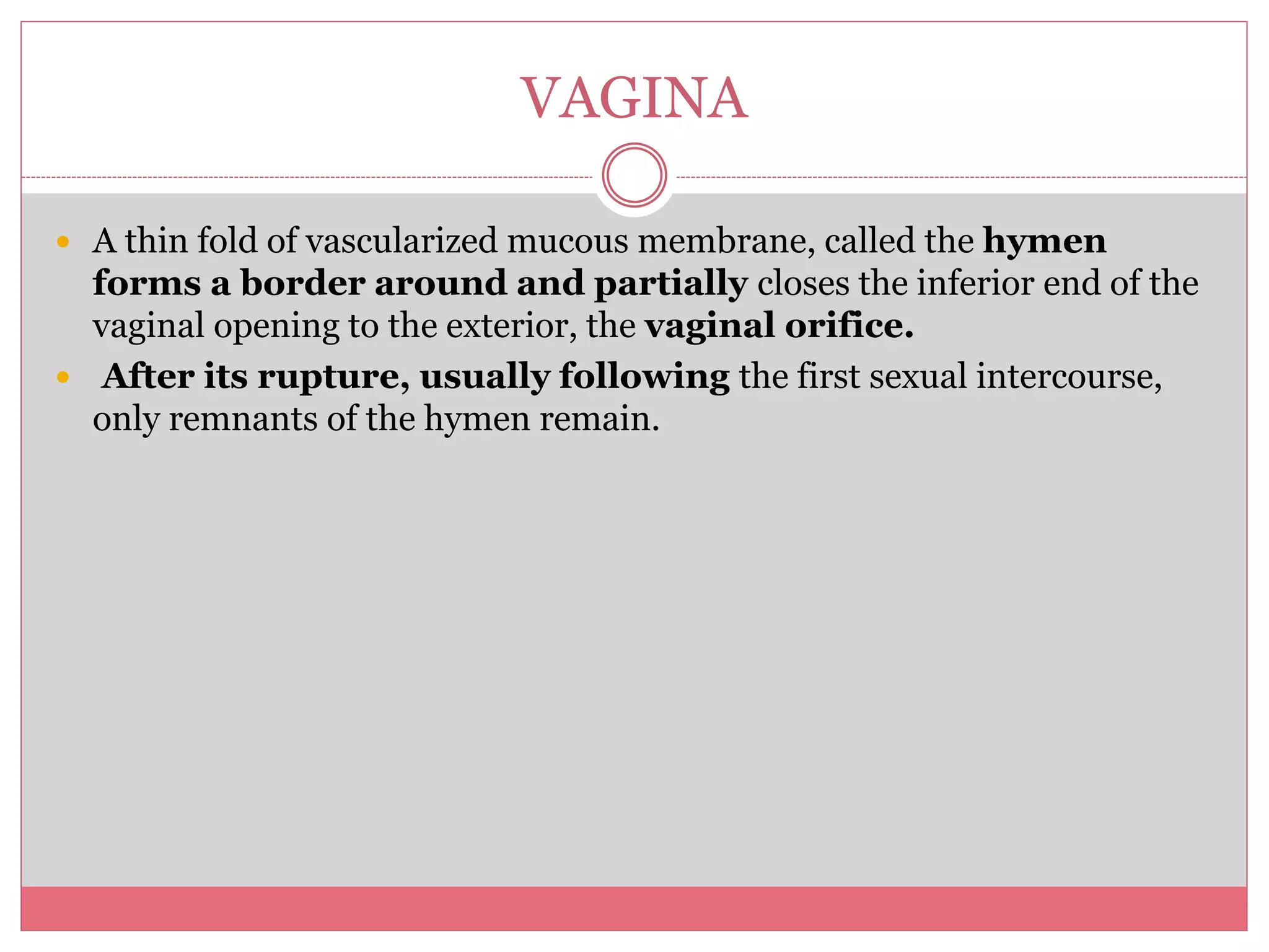 Female reproductive system | PPTX