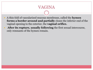 Female reproductive system | PPTX