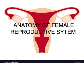ANATOMY OF FEMALE
REPRODUCTIVE SYTEM
 