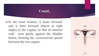 Contd..
A) Fundus: This is the dome shaped part of the uterus
above the opening of the uterine tubes.
B) Body: This is the...