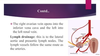 FUNCTIONS:
 The ovary is the organ in which the female
gametes are stored and develop prior to
ovulation.
 Their maturat...