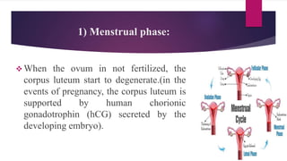 Contd..
 The menstrual flow consists of the
secretions from endometrial glands,
endometrial cells, blood from the
degener...