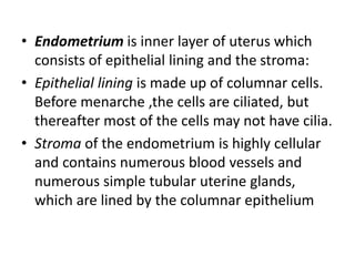• Endometrium is inner layer of uterus which
consists of epithelial lining and the stroma:
• Epithelial lining is made up of columnar cells.
Before menarche ,the cells are ciliated, but
thereafter most of the cells may not have cilia.
• Stroma of the endometrium is highly cellular
and contains numerous blood vessels and
numerous simple tubular uterine glands,
which are lined by the columnar epithelium
 