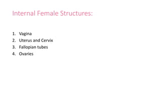 Internal Female Structures:
1. Vagina
2. Uterus and Cervix
3. Fallopian tubes
4. Ovaries
 