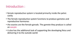 Introduction :
• female reproductive system is located primarily inside the pelvic
cavity
• The female reproductive system functions to produce gametes and
reproductive hormones
• the ovaries are the female gonads. The gamete they produce is called
an oocyte
• it also has the additional task of supporting the developing fetus and
delivering it to the outside world
 