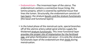 • Endometrium - The innermost layer of the uterus. The
endometrium contains a connective tissue lining, the
lamina propria, which is covered by epithelial tissue that
lines the lumen. Structurally, the endometrium consists of
two layers: the stratum basalis and the stratum functionalis
(the basal and functional layers)
• In the luteal phase of the menstrual cycle, special branches
off of the uterine artery called spiral arteries supply the
thickened stratum functionalis. This inner functional layer
provides the proper site of implantation for the fertilized
egg, and when fertilization not occur—it is only the stratum
functionalis layer of the endometrium that sheds during
menstruation.
 