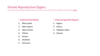 Female Reproductive Organs :
The external female reproductive structures are referred to collectively as the vulva
• External Genitalia
1. Mons pubis
2. labia majora
3. labia minora
4. Clitoris
5. Hymen
6. Vestibule
7. Perineum
• Internal genital Organs
1. Vagina
2. Uterus
3. Fallopian tubes
4. Ovaries
 