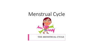 Menstrual Cycle
 