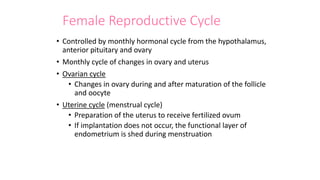 Female Reproductive Cycle
• Controlled by monthly hormonal cycle from the hypothalamus,
anterior pituitary and ovary
• Monthly cycle of changes in ovary and uterus
• Ovarian cycle
• Changes in ovary during and after maturation of the follicle
and oocyte
• Uterine cycle (menstrual cycle)
• Preparation of the uterus to receive fertilized ovum
• If implantation does not occur, the functional layer of
endometrium is shed during menstruation
 
