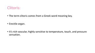 Clitoris:
• The term clitoris comes from a Greek word meaning key.
• Erectile organ.
• It’s rich vascular, highly sensitive to temperature, touch, and pressure
sensation.
 