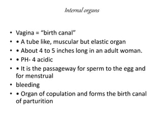 Internal organs
• Vagina = “birth canal”
• • A tube like, muscular but elastic organ
• • About 4 to 5 inches long in an adult woman.
• • PH- 4 acidic
• • It is the passageway for sperm to the egg and
for menstrual
• bleeding
• • Organ of copulation and forms the birth canal
of parturition
 