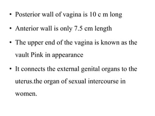 • Posterior wall of vagina is 10 c m long
• Anterior wall is only 7.5 cm length
• The upper end of the vagina is known as the
vault Pink in appearance
• It connects the external genital organs to the
uterus.the organ of sexual intercourse in
women.
 