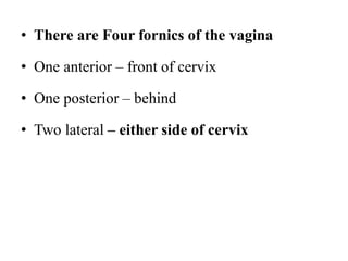 • There are Four fornics of the vagina
• One anterior – front of cervix
• One posterior – behind
• Two lateral – either side of cervix
 
