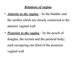 Relations of vagina
• Anterior to the vagina – lie the bladder and
the urethra which are closely connected to the
anterior vaginal wall
• Posterior to the vagina – lie the pouch of
douglas, the rectum and the perineal body;
each occupying one third of the posterior
vaginal wall
 