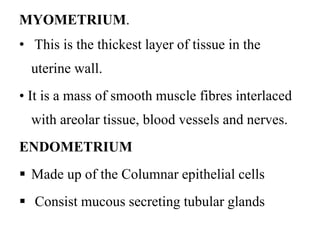 MYOMETRIUM.
• This is the thickest layer of tissue in the
uterine wall.
• It is a mass of smooth muscle fibres interlaced
with areolar tissue, blood vessels and nerves.
ENDOMETRIUM
 Made up of the Columnar epithelial cells
 Consist mucous secreting tubular glands
 
