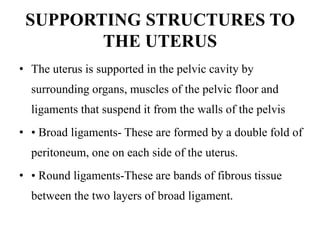 SUPPORTING STRUCTURES TO
THE UTERUS
• The uterus is supported in the pelvic cavity by
surrounding organs, muscles of the pelvic floor and
ligaments that suspend it from the walls of the pelvis
• • Broad ligaments- These are formed by a double fold of
peritoneum, one on each side of the uterus.
• • Round ligaments-These are bands of fibrous tissue
between the two layers of broad ligament.
 