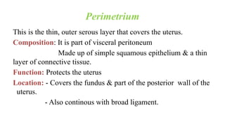 Perimetrium
This is the thin, outer serous layer that covers the uterus.
Composition: It is part of visceral peritoneum
Made up of simple squamous epithelium & a thin
layer of connective tissue.
Function: Protects the uterus
Location: - Covers the fundus & part of the posterior wall of the
uterus.
- Also continous with broad ligament.
 