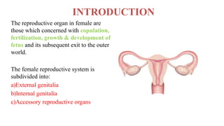 INTRODUCTION
The reproductive organ in female are
those which concerned with copulation,
fertilization, growth & development of
fetus and its subsequent exit to the outer
world.
The female reproductive system is
subdivided into:
a)External genitalia
b)Internal genitalia
c)Accessory reproductive organs
 