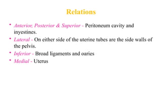 Relations
• Anterior, Posterior & Superior - Peritoneum cavity and
inyestines.
• Lateral - On either side of the uterine tubes are the side walls of
the pelvis.
• Inferior - Broad ligaments and oaries
• Medial - Uterus
 